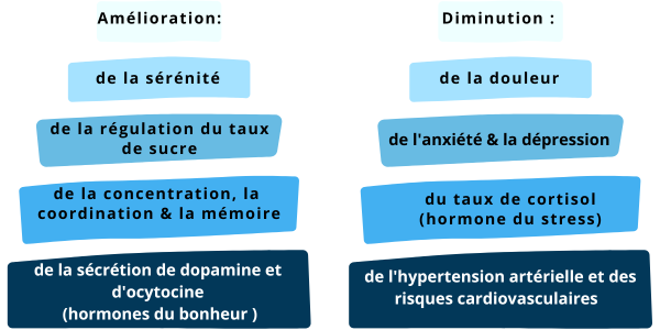 La cohérence cardiaque présente énormément d’aspects positifs et amplifie tous les bénéfices d'une respiration optimale. En voici un petit aperçu :