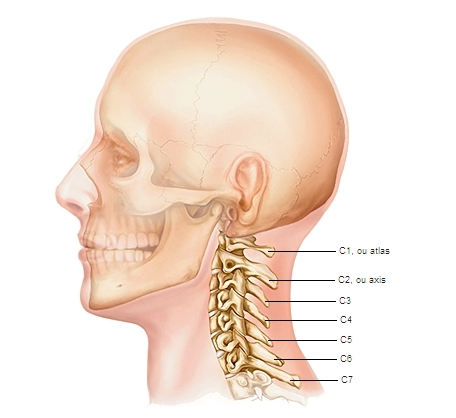 Chiropraxie à Gray Vesoul douleurs cervicales